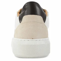 Adventure Ii 260 Creme Combo