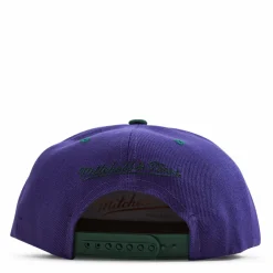 Bucks Monument Snapback HWC