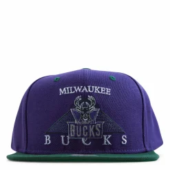 Bucks Monument Snapback HWC