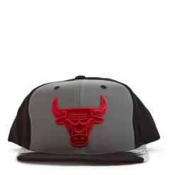 Bulls Day 5 Snapback