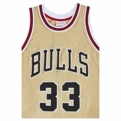Bulls Nba 75th Swingman