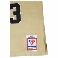 Bulls Nba 75th Swingman
