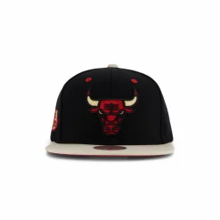Bulls Pin Drop Snapback