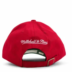 Bulls Team Ground 2.0 Dad Strapback