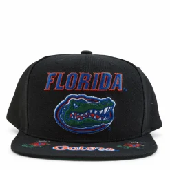 Gators Front Loaded Snapback