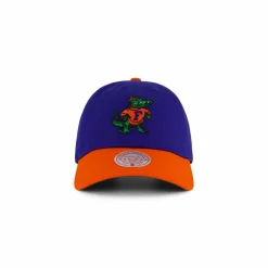 Gators Team 2 Tone 2.0 Dad Strapback