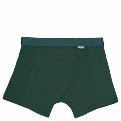 Green Briefs Green
