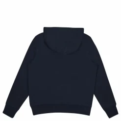 Hilfiger Flag Arch Hoody Dw5
