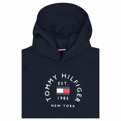 Hilfiger Flag Arch Hoody Dw5