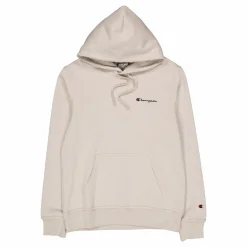 Hooded Sweatshirt Silver Lining