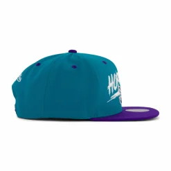 Hornets Transcript Snapback