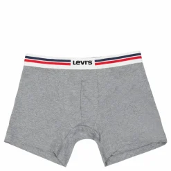 Levis Men Placed Sprtswr Logo 005 Mid