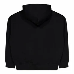 Polo Ralph Lauren Big Polo Player Hoodie Polo