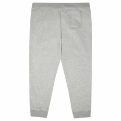 Polo Ralph Lauren Sport Fleece-pnt