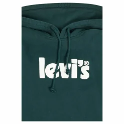 Relaxed Graphic Po Poster Hood Core Poste