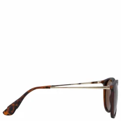 Roma Turtle Brown / Brown