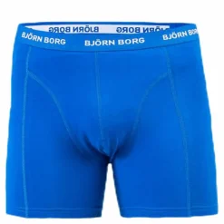 Solid Shorts 5-Pack Blue/Patterned