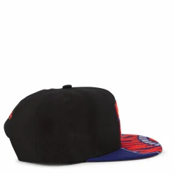 Swingman Pop Snapback HWC