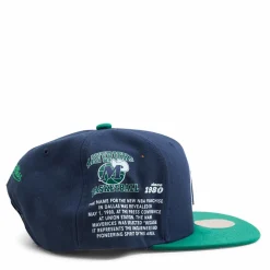 Team Origins Snapback HWC