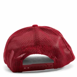 Team Origins Trucker HWC