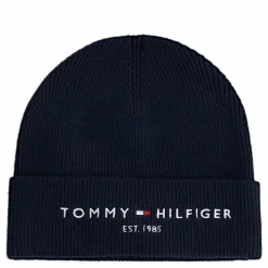 Th Established Beanie