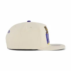 Warriors Reframe Retro Snapback HWC