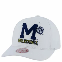 Wolverines All In Pro Snapback