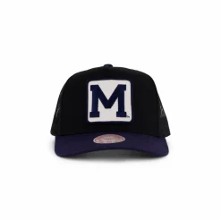 Wolverines Truck It Trucker