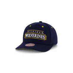 Wolwerines Team Lofi Pro Snapback